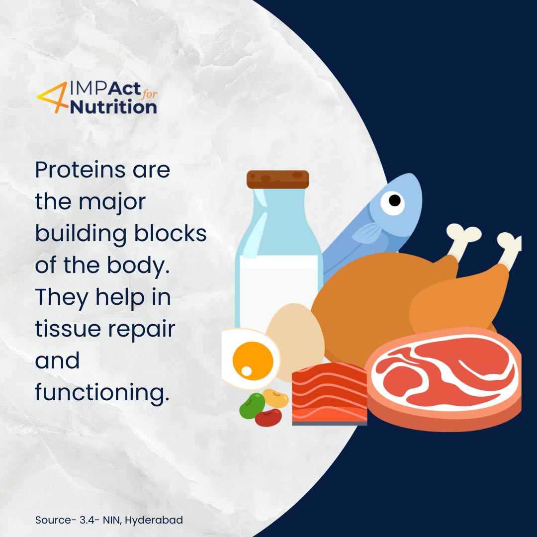 impact for nutrition